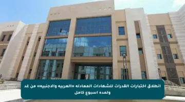 انطلاق اختبارات القدرات للشهادات المعادلة «العربية والأجنبية» من غد ولمدة أسبوع كامل